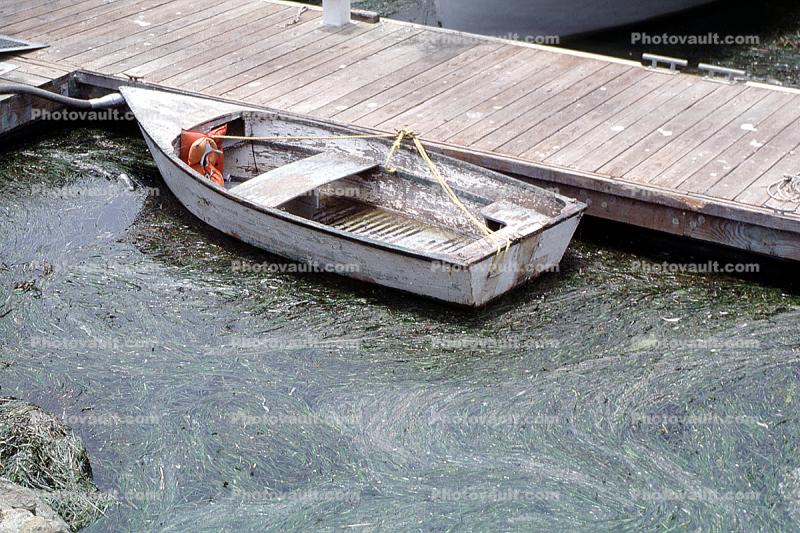 Rowboat, dock, yucky water