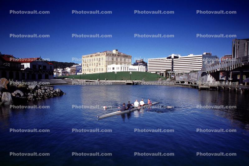 Rowing Needle, skyline, water, Wellington New Zealand
