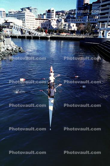 Rowing Needle, skyline, water, Wellington New Zealand