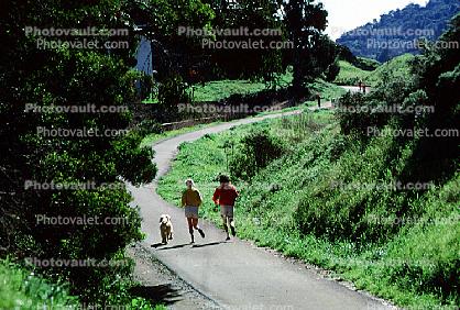 jog, jogger, Dog, Tiburon Linear Park