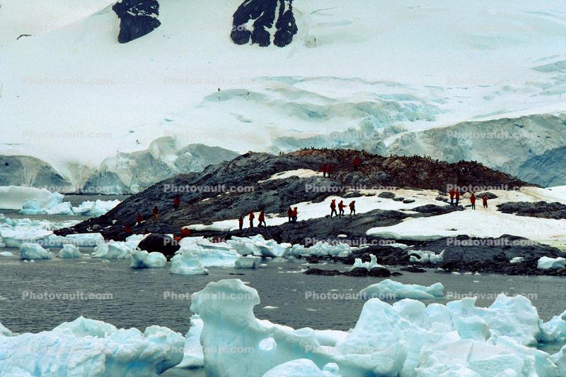 Hiking along a Giant Glacier and Icebergs in Antarctica
