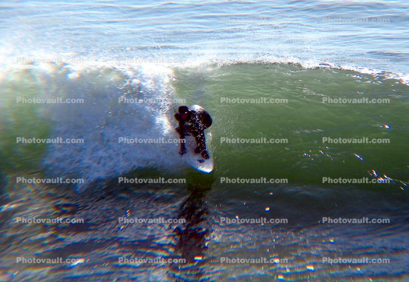 Fort Point, San Francisco, Lefts, Wetsuit, Surfing, California, Surfer, Surfboard