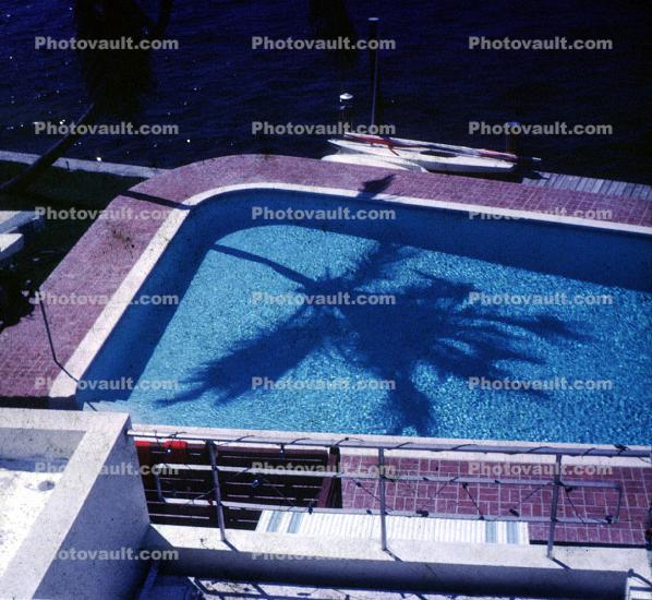 Pool, Palm Tree Shadow