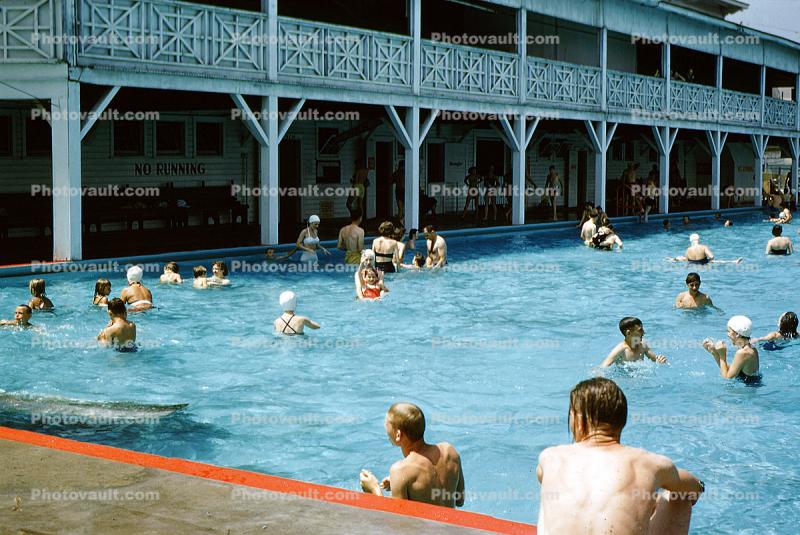 Girls and boys in a Pool, Water, swimsuits, 1950s