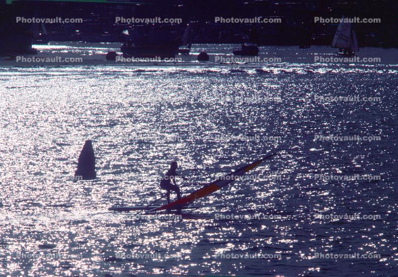 Shore, shoreline, Windsurfer, 28 October 1982, Santa Barbara