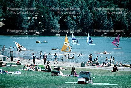 Lake Del Valle Regional Park, Reservoir, hills, trees, beach, recreation, Livermore, California