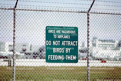 Birds Are Hazardous to Airplanes - DO NOT ATTRACT BIRDS BY FEEDING THEM