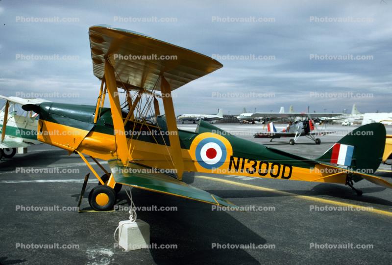 N1300D, Dehavilland Tiger Moth DH 82A