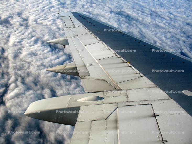 lone Wing in Flight, clouds