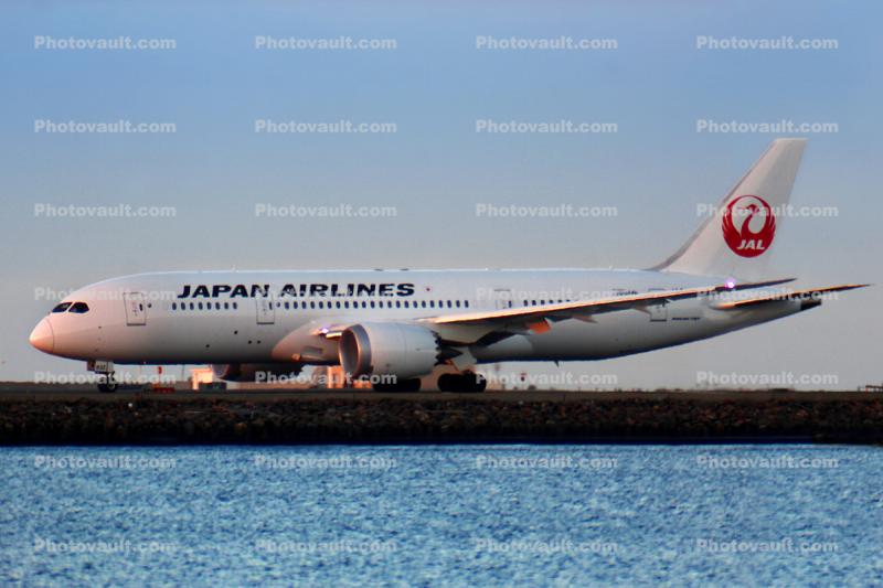JA832J, Boeing 787-846, Japan Airlines JAL, SFO, 787-8 series, GEnx-1B64