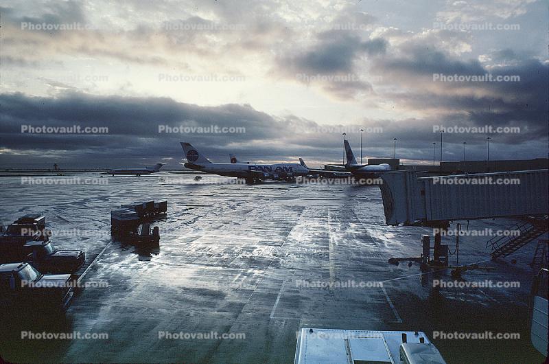 San Francisco International Airport (SFO), Wet Tarmac, Jetway, Airbridge