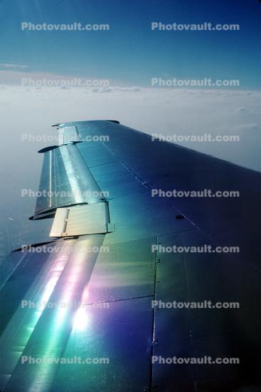 wing rainbow light, Wing in Flight