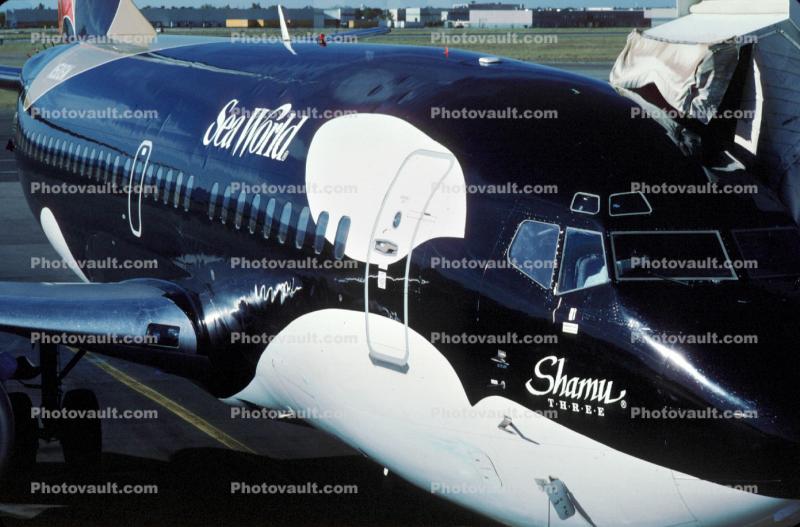 N507SW, Shamu the Killer Whale, Shamu Three, Boeing 737-5H4, CFM56-3B1, CFM56, Southwest Airlines SWA, El Paso, 737-500 series