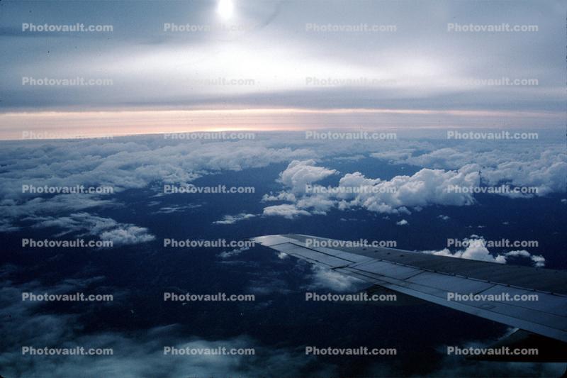 Lone Wing in Flight, Clouds, SF Bay Area