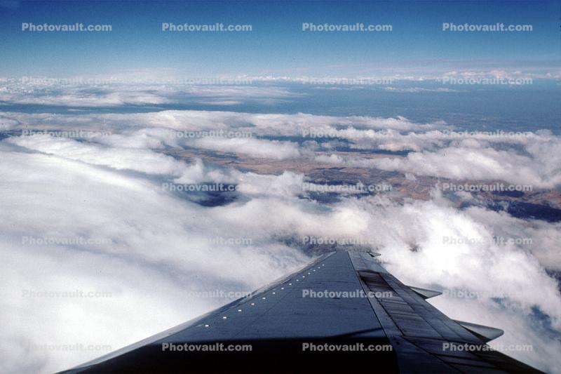 Lone Wing in Flight, Flight, Flying, clouds