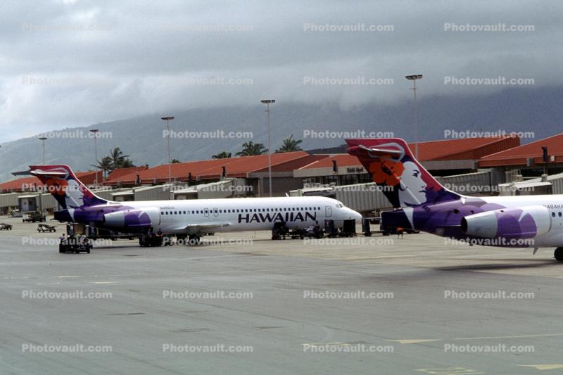 Terminals, Jetway, Hawaiian Air HAL, N486HA, Boeing 717-22A, Airbridge, BR715, Akikiki