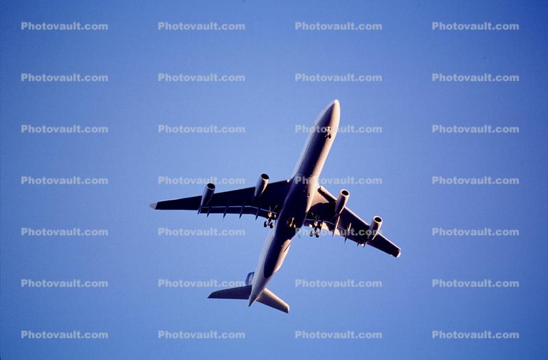 Airbus A340, Lufthansa, Airborne, Flight, Flying