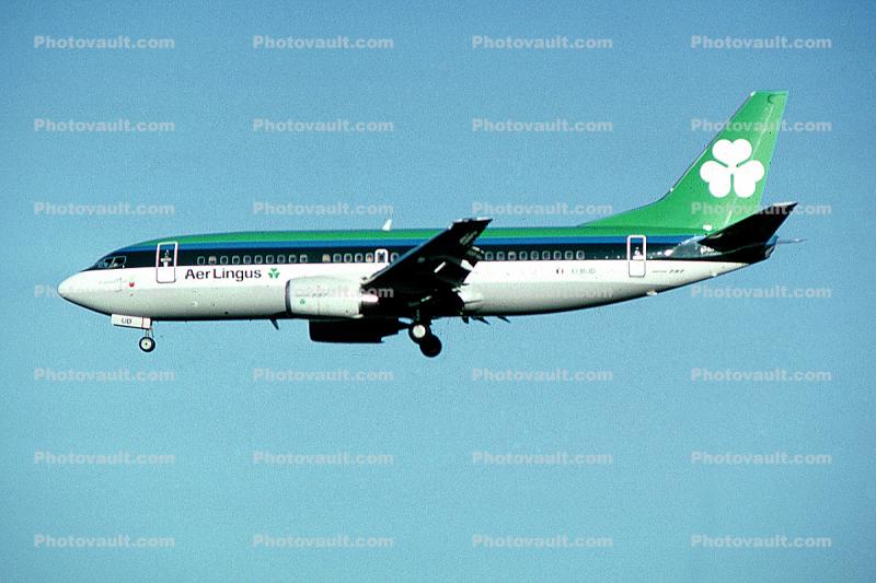 EI-BUD, Aer Lingus, Boeing 737-348QC, 737-300 series