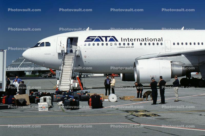 Bomb Scare, Dog sniffing for Bombs, CS-TGU, Airbus A310-304, Azores, Terceira, CF6, CF6-80C2A2