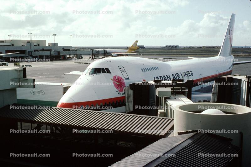 JA8141, Boeing 747-246B, 747-200, series Japan Airlines JAL, 1983, 1980s, JT9D, JT9D-7AW