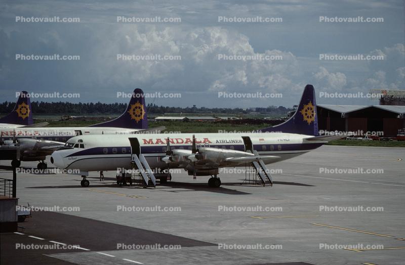 PK-RLI, Lockheed L-188CF Electra, Mandala Airlines, Indonesia