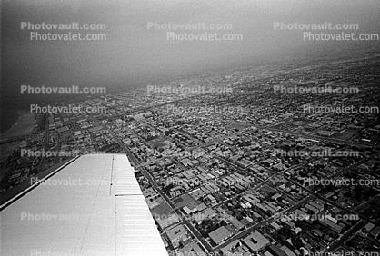 Wing in flight, San Fernando Valley