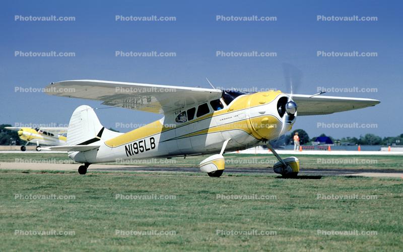 N195LB, Cessna 195B Businessliner