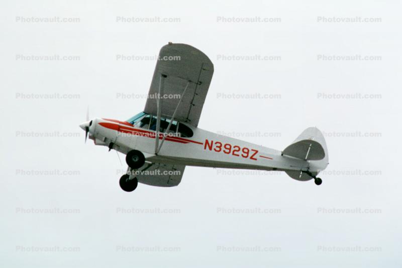 N3929Z, Piper PA-18-150