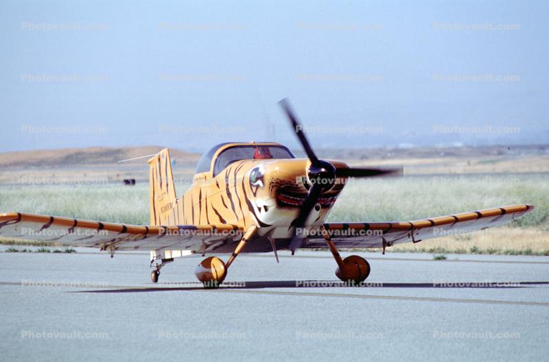 N118HM, Thorp T-18 WM, Tiger Stripes