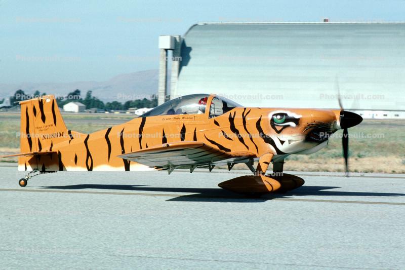 Tiger Stripes, N118HM, Thorp T-18 WM