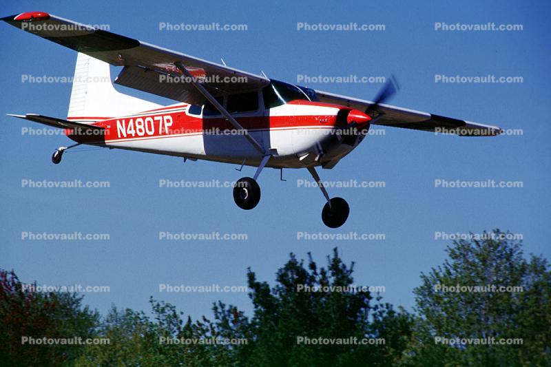 N4807P, Cessna 180