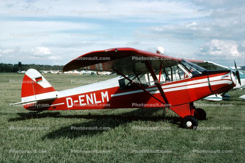 D-ENLM, Piper L-18, Super Cub 