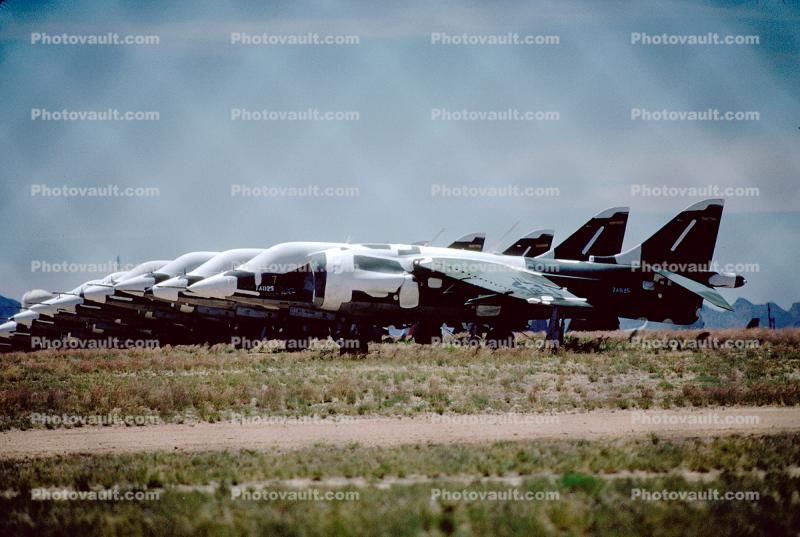 Shrink Wrapped Harriers
