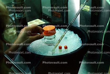 Lab Technician, Ice, Bucket, samples