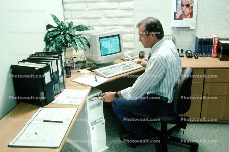 Man at Desktop Computer, Monitor, male