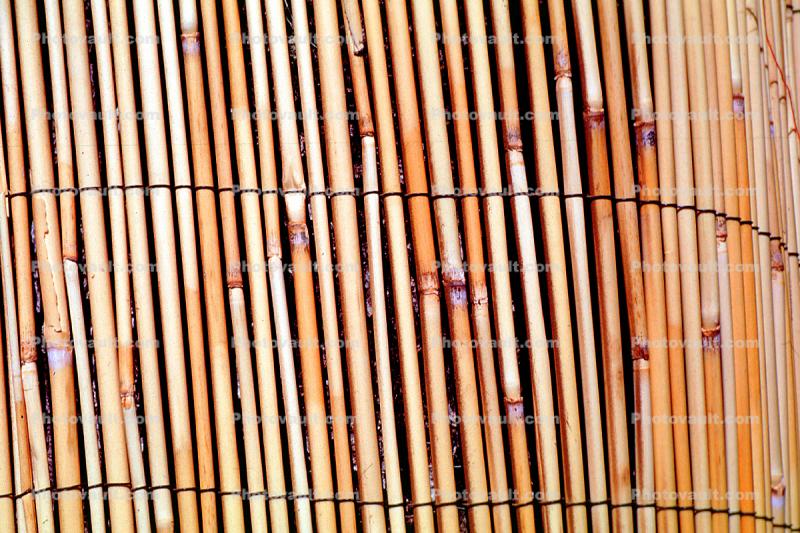 Reed Fence Texture