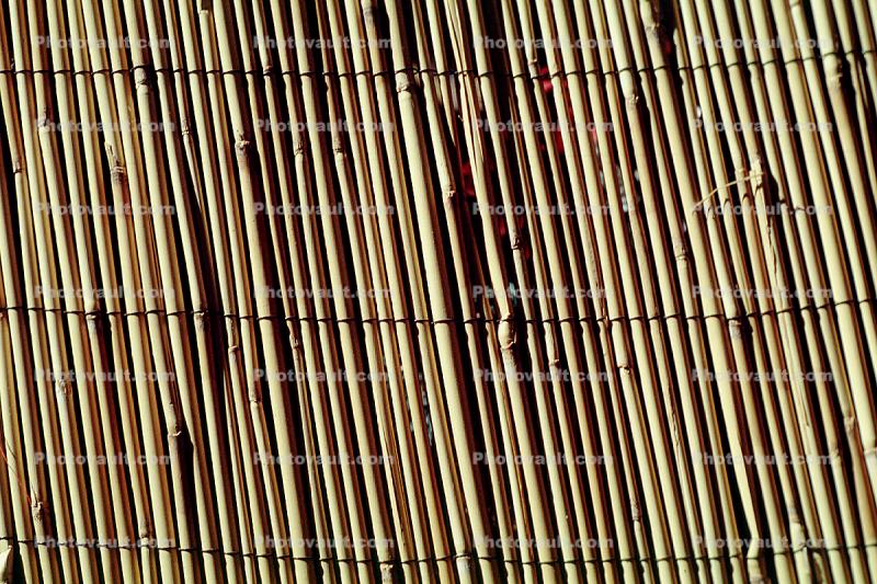 Reed Fence Texture