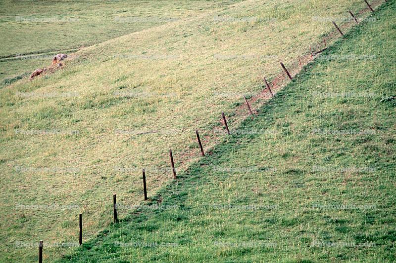 Fence, Field, Texture