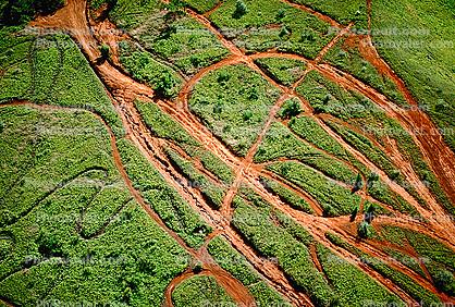 Erosion, Tire Tracks, off-road vehicles, mountain, rain forest