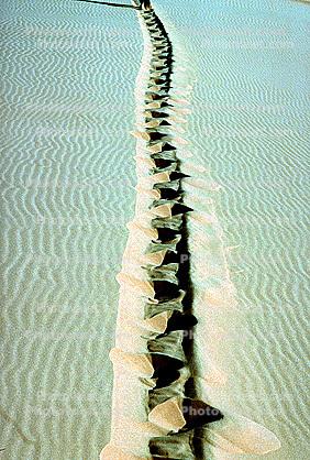 Tiretracks, Sand Dunes