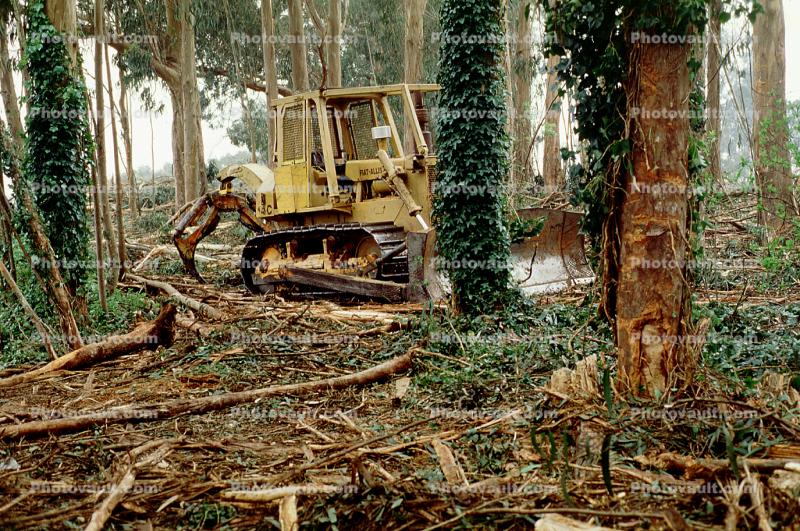 Fiat-Allis, Bulldozer, Log Grabber, Debris Loader, Clear Cut, Clearcut, tree cutting, Eucalyptus, Fiat Allis, FiatAllis