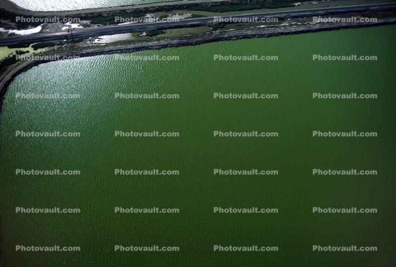 Salt Ponds, Fremont, 22 April 1985