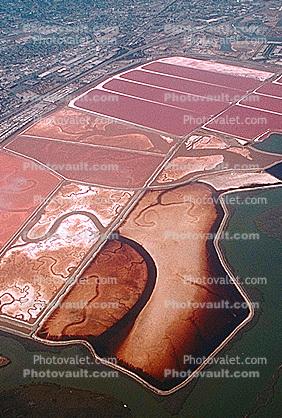 Salt Ponds, 16 October 1987