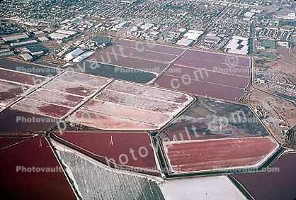 Salt Ponds, Sloughs, 21 October 2000