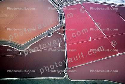 Salt Ponds, Sloughs, 21 October 2000