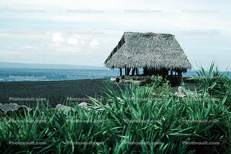 Thatched Hut, grass roof, beach, ocean, sand, Bali, Indonesia, building, Sod