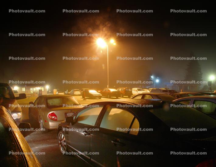 parked cars, night, fog, nighttime