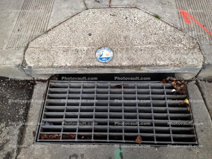 Water Drainage Grill, Contamination, Storm Drain