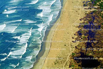 Water Pollution, Contamination, Pacific Ocean, Waves, Sand, Beach
