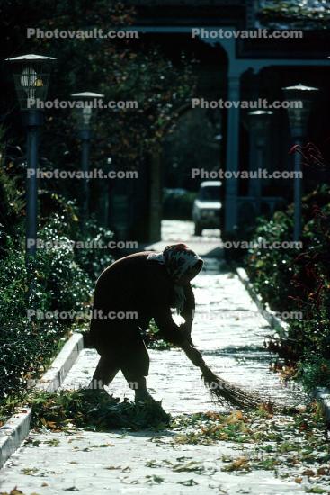 Woman Sweeping Leaves